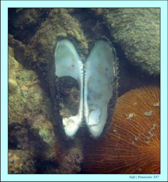 2011 - 03 - Koh Ngai 080